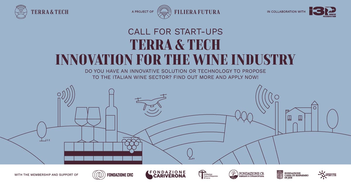 Filiera Futura and I3P launch the call for start-ups "Terra & Tech | Innovation for the Wine Industry"